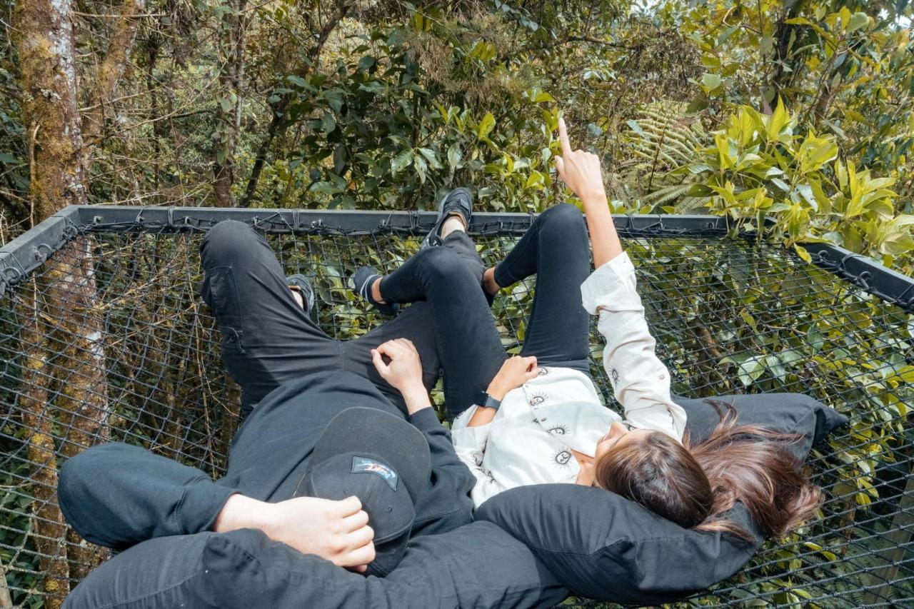 Oculto Refugio De Bosque Camping