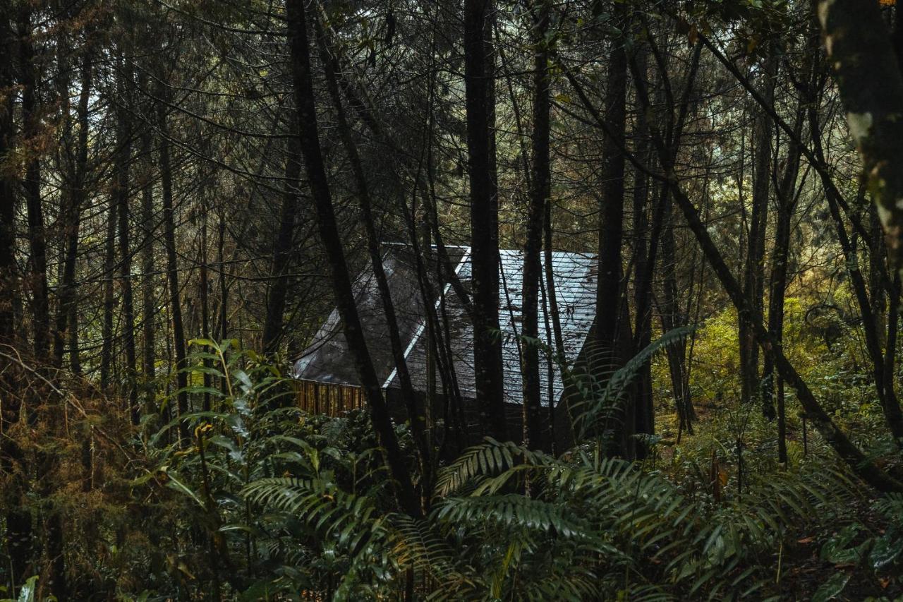Oculto Refugio De Bosque Campsite Envigado